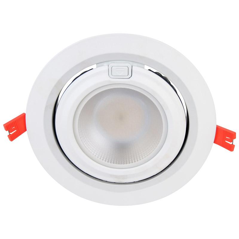 60W Premium Adjustable LED Downlight